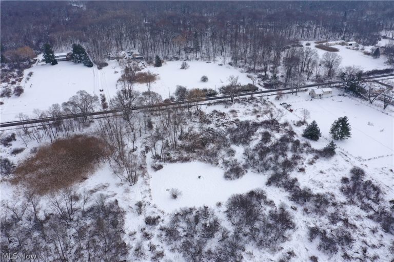 12167 Mantua Center Road, Mantua, OH - Photo 6