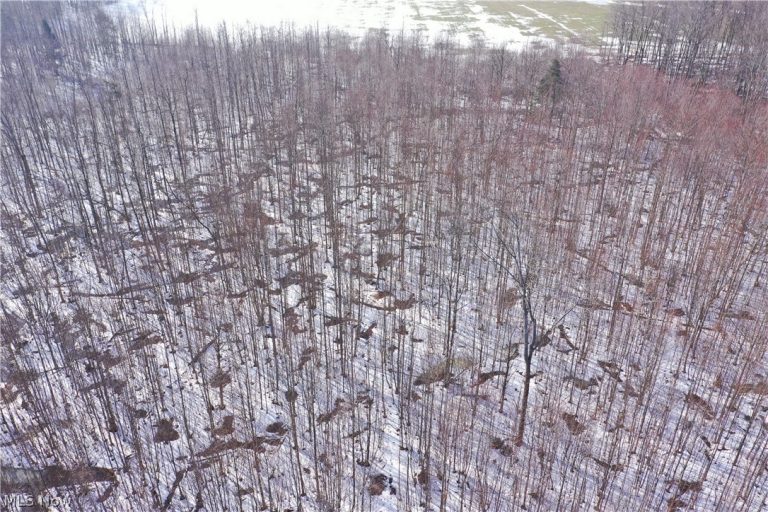 Adams Road, Kingsville, OH - Photo 4