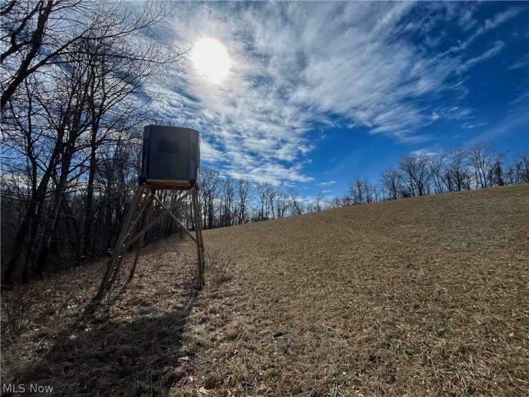Ridgeview Lane, Blue Rock, OH - Photo 2