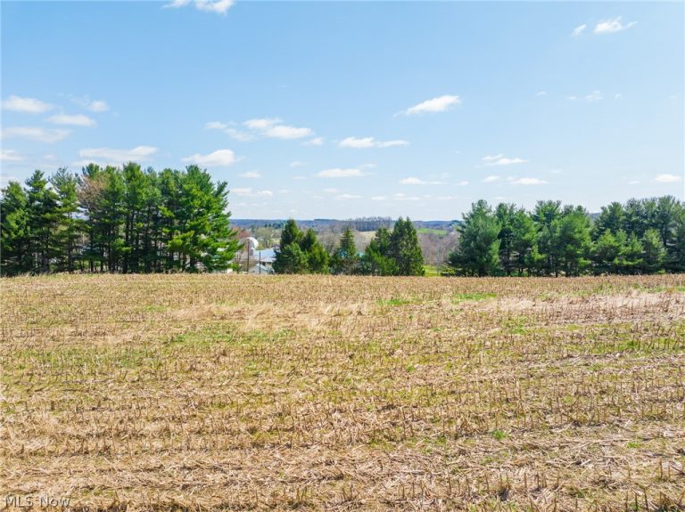 9050 Freeman Road, Lisbon, OH - Photo 5