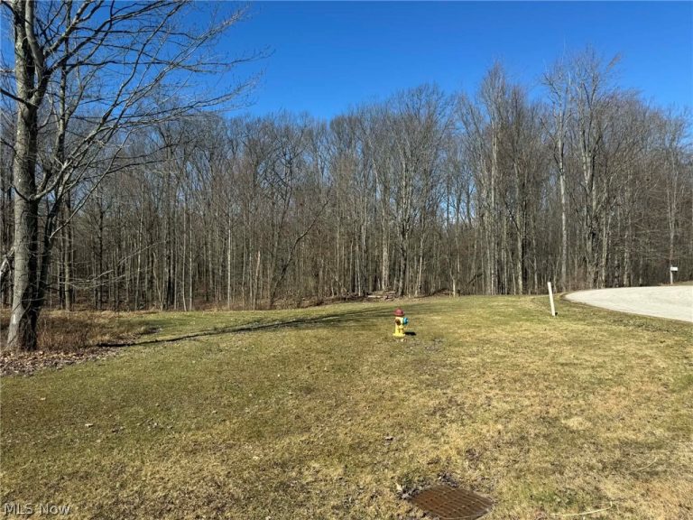 Buttonwood Lane, Ashtabula, OH - Photo 3