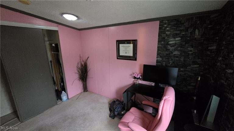 6465 Linda, Ravenna, OH - Photo 5