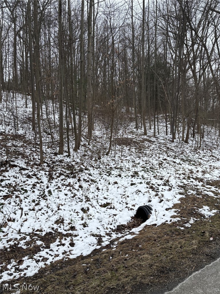 Oh-93, Dundee, OH - Photo 2
