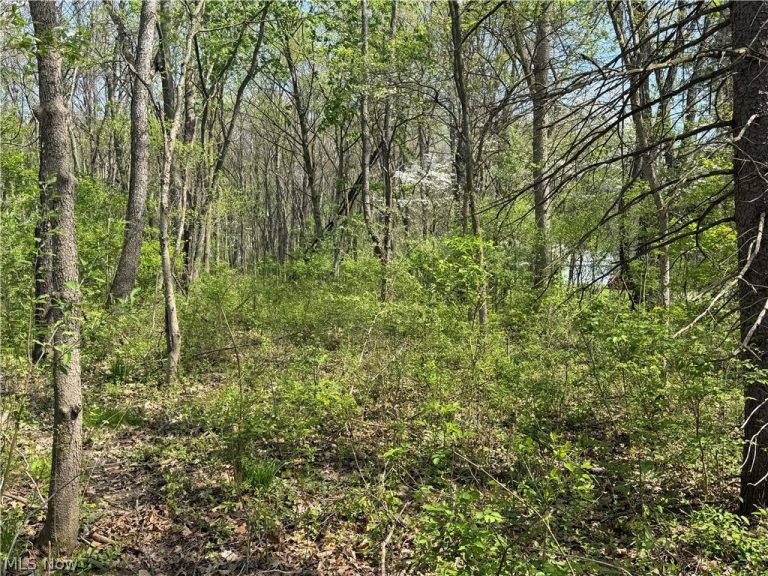 Village Street, Canton, OH - Photo 4