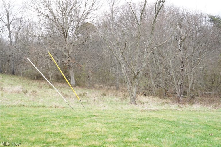 Chichester Road, Parkersburg, WV - Photo 2