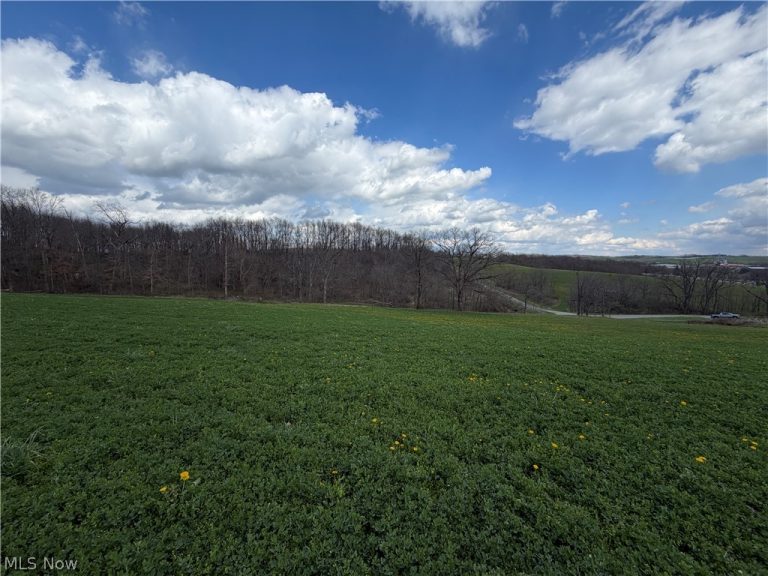 Township Road 177, Baltic, OH - Photo 8