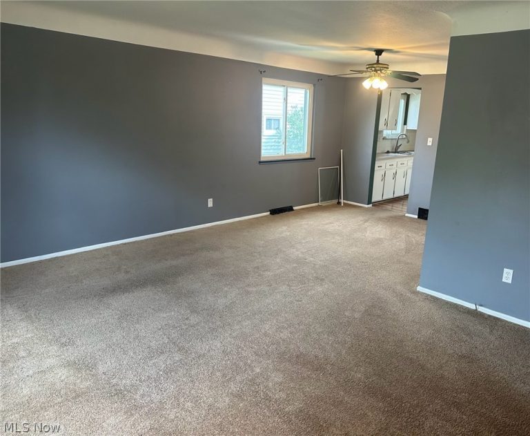 1187 Bonnie Lane, Mayfield Heights, OH - Photo 3