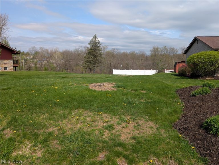 Skyview, Wintersville, OH - Photo 6
