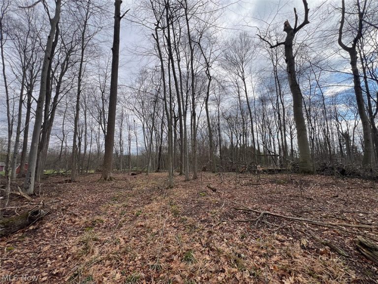 Schubert Avenue, Alliance, OH - Photo 4