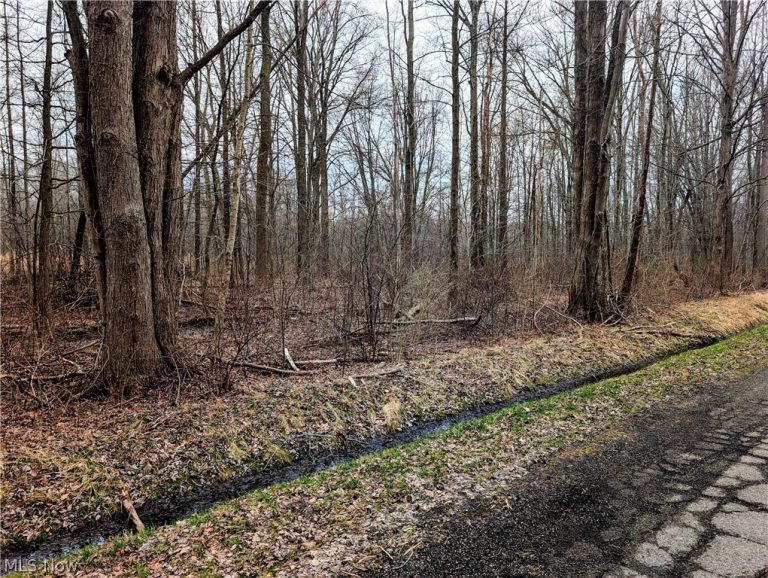 Magnolia Drive #2, Madison, OH - Photo 2