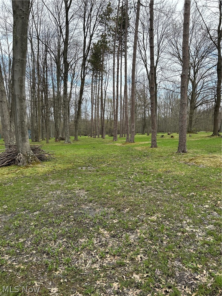 170 West Main St/ US Rt 322, Orwell, OH - Photo 3