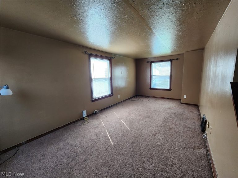 19850 Ormiston Avenue, Euclid, OH - Photo 3