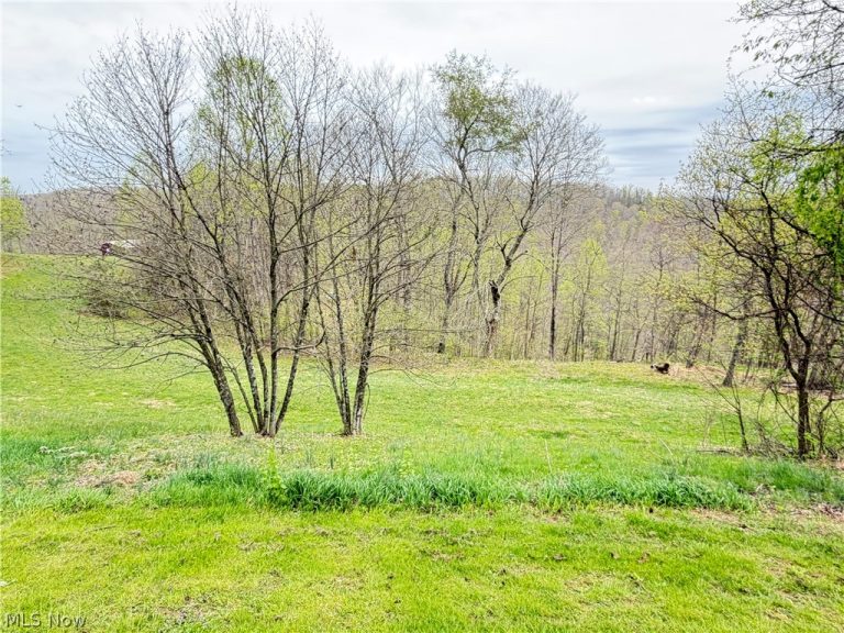 441 Tower Road, Elizabeth, WV - Photo 5