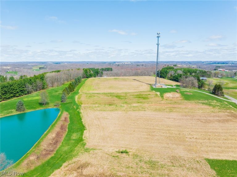 9050 Freeman Road, Lisbon, OH - Photo 4