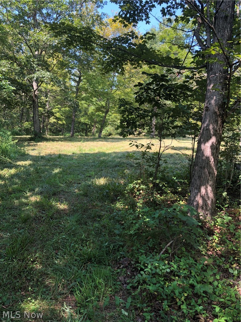 1475 St Rte 124, Coolville, OH - Photo 8