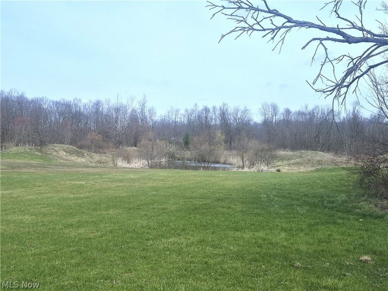 7695 Norton Road, Garrettsville, OH - Photo 5