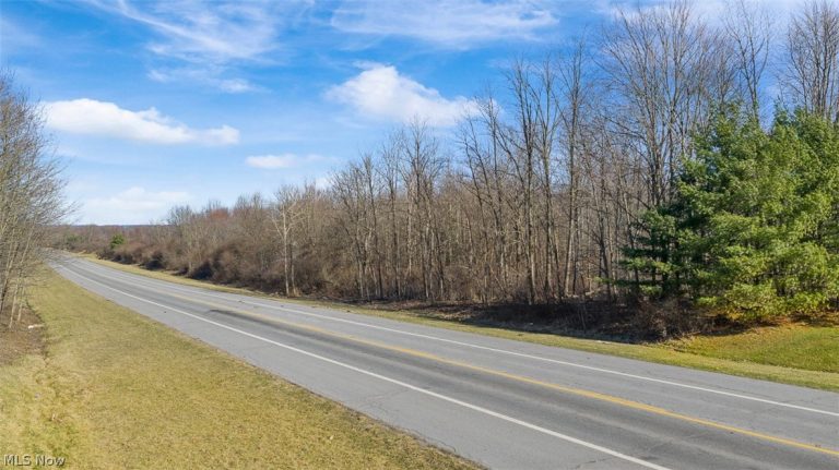 Gladdis Street, Massillon, OH - Photo 3