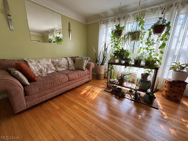1129 Avondale, South Euclid, OH - Photo 2