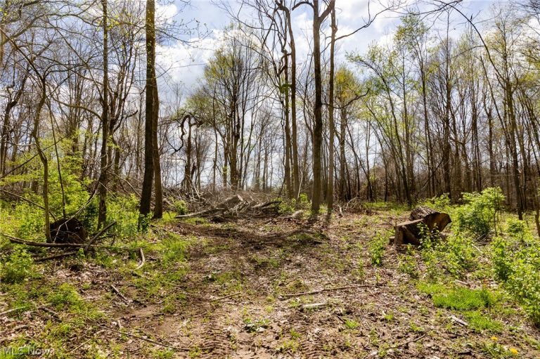105 Hanley Road, Mansfield, OH - Photo 4