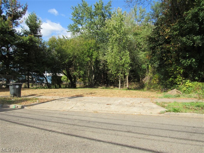 1199 Newton Street, Akron, OH - Photo 3