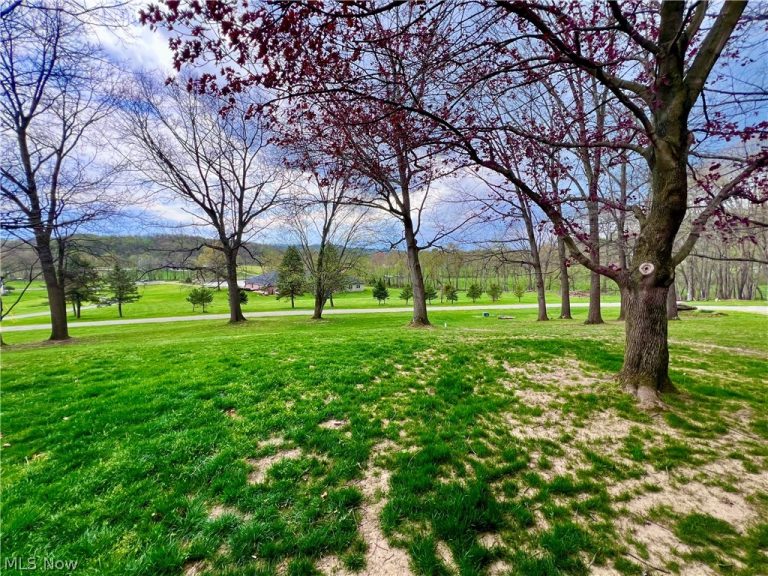 3359 Schneiders Crossing Road, Dover, OH - Photo 5