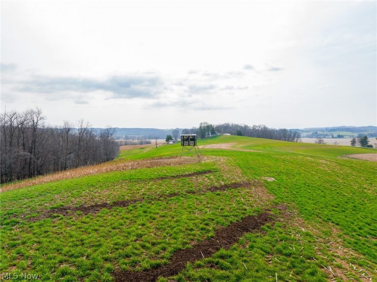 N American Road, Dover, OH - Photo 8