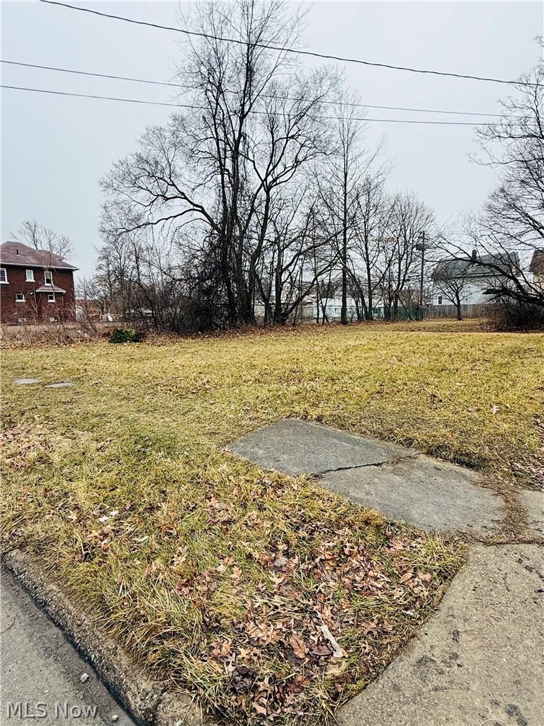 Apple Avenue, Lorain, OH - Photo 3