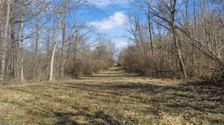 Gladdis Street, Massillon, OH - Photo 8