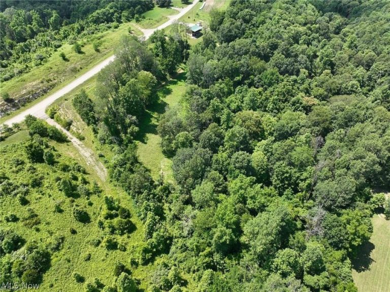 Point Lookout Road, Stockport, OH - Photo 8