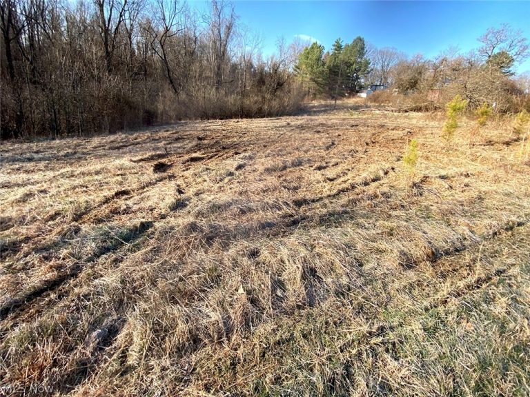 Twp Rd 318 Road, Dexter City, OH - Photo 3
