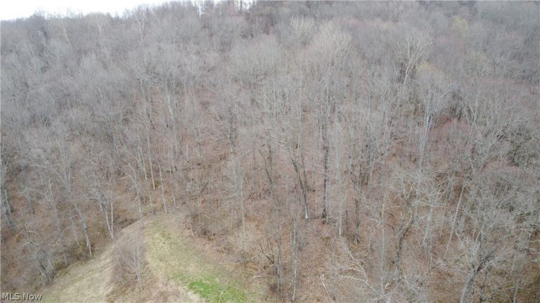 39460 Opossum Creek Road, Sardis, OH, 43946