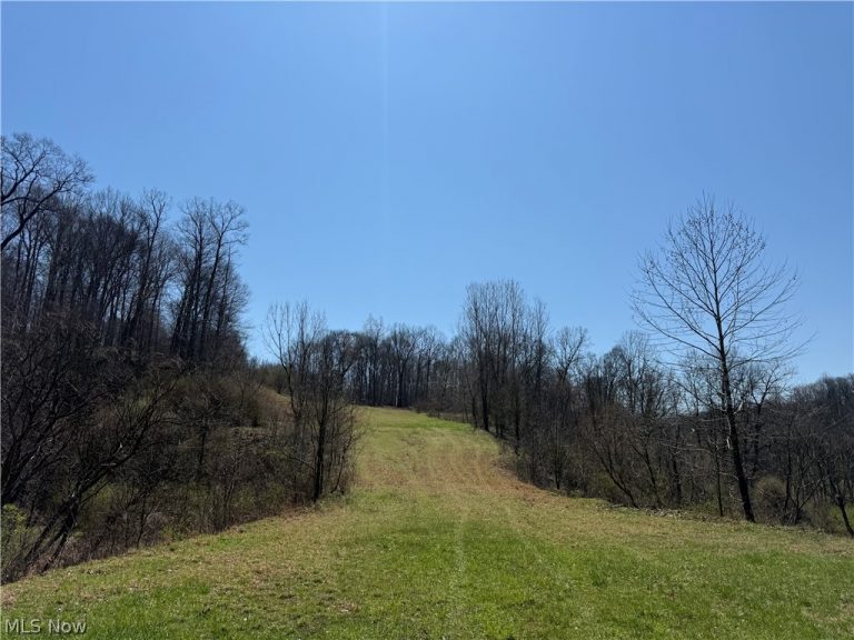 Kragel Road, Wintersville, OH - Photo 8