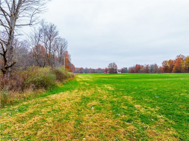 Mahan Denman Road, Bristolville, OH - Photo 5