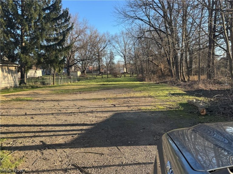 1145 Stiles, Warren, OH - Photo 5