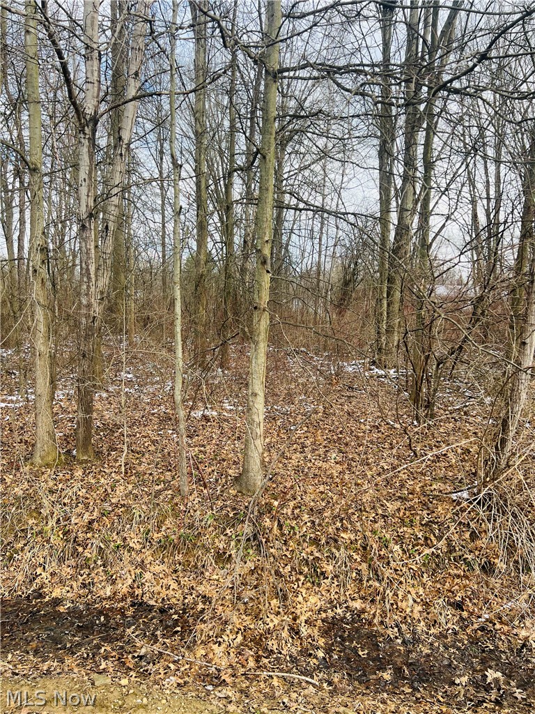 Lot 115 Breezewood Lane, Orwell, OH - Photo 5