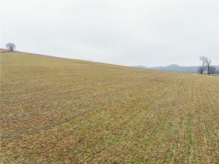 3967 Crooked Run Road, New Philadelphia, OH - Photo 5