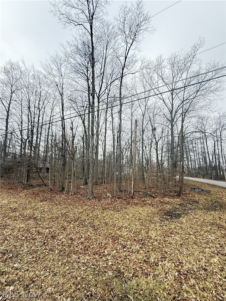 5038 Maderia Drive, West Salem, OH - Photo 4