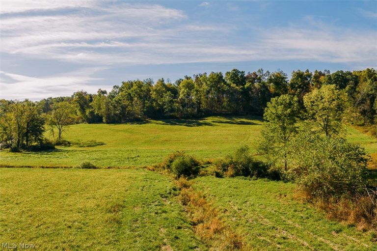15 Glecoe Road, Dellroy, OH - Photo 8