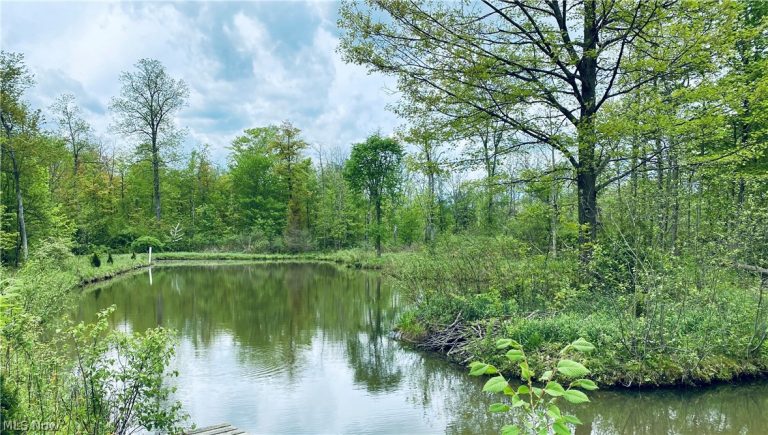 Fowlers Mill Road, Chardon, OH - Photo 5