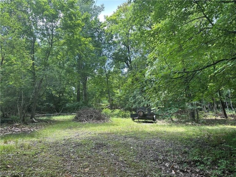 Belleau Wood Drive, Akron, OH - Photo 2