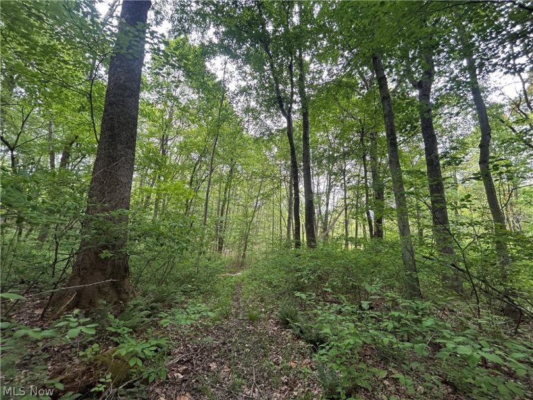 Wesley Chapel, Mount Perry, OH - Photo 3