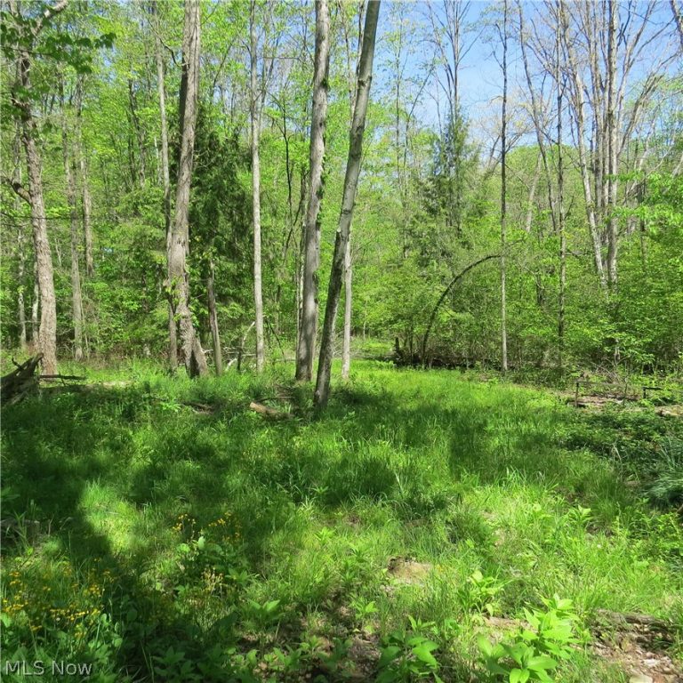 Montero Road, Carrollton, OH - Photo 6