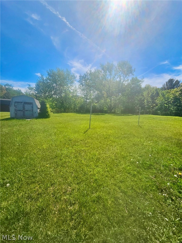 10481 Briar Hill Drive, Kirtland, OH - Photo 3