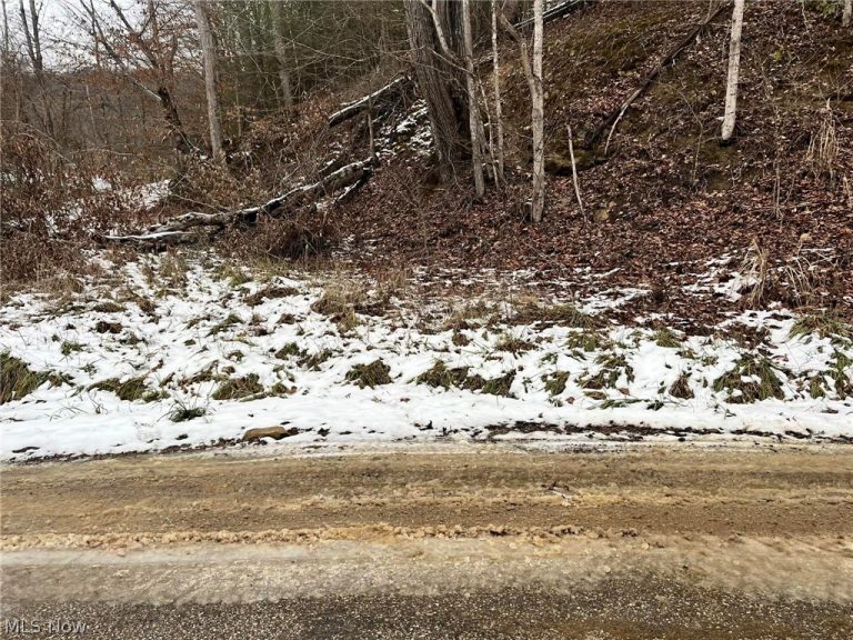 Rt 29/1 Grannies Creek RD., Clendenin, WV, 25266