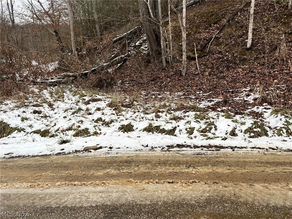 Rt 29/1 Grannies Creek RD., Clendenin, WV