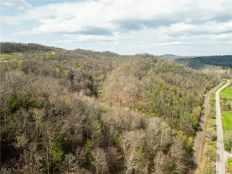 47691 Captina Highway Road, Alledonia, OH - Photo 5