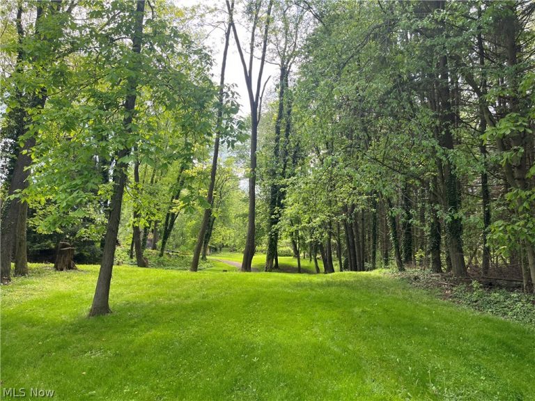 High Mill Avenue, Clinton, OH - Photo 2