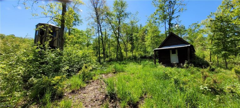 72577 Old Twenty-One Road, Kimbolton, OH - Photo 6