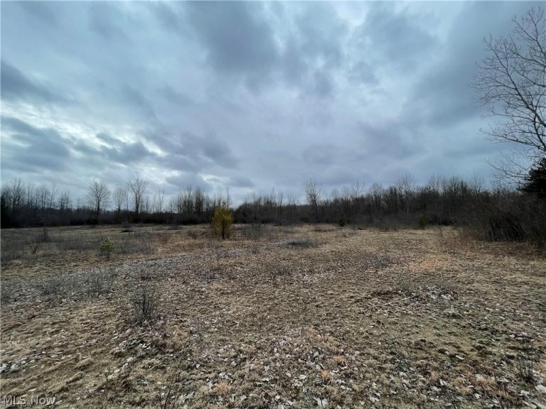 V/L Mayfield Road, Chardon, OH - Photo 2