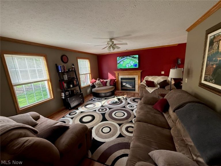 8780 Jackson Street, Mentor, OH - Photo 4